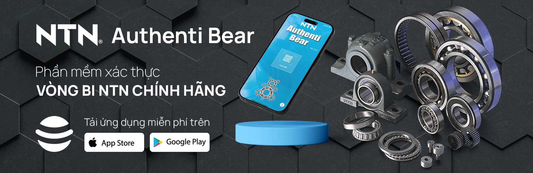 vongbi-ntn-bear-banner
