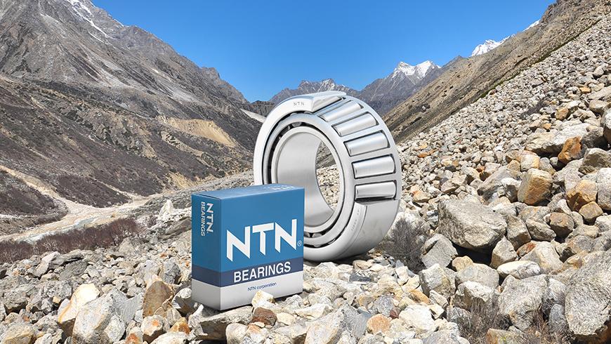 NTN-Ximang