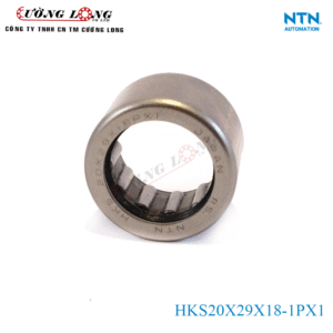 Vòng bi NTN HKS20X29X18-1PX1- bạc đạn nồi sau xe ga