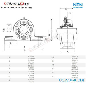 Gối đỡ UCP204-012D1