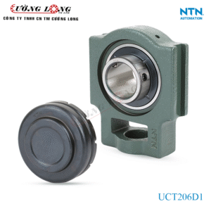 Gối đỡ UCT206D1 NTN