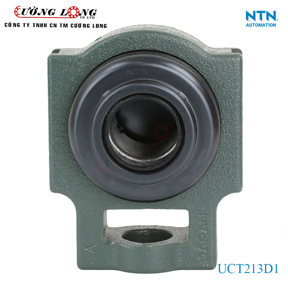 Gối đỡ UCT213D1 NTN - Ảnh 2